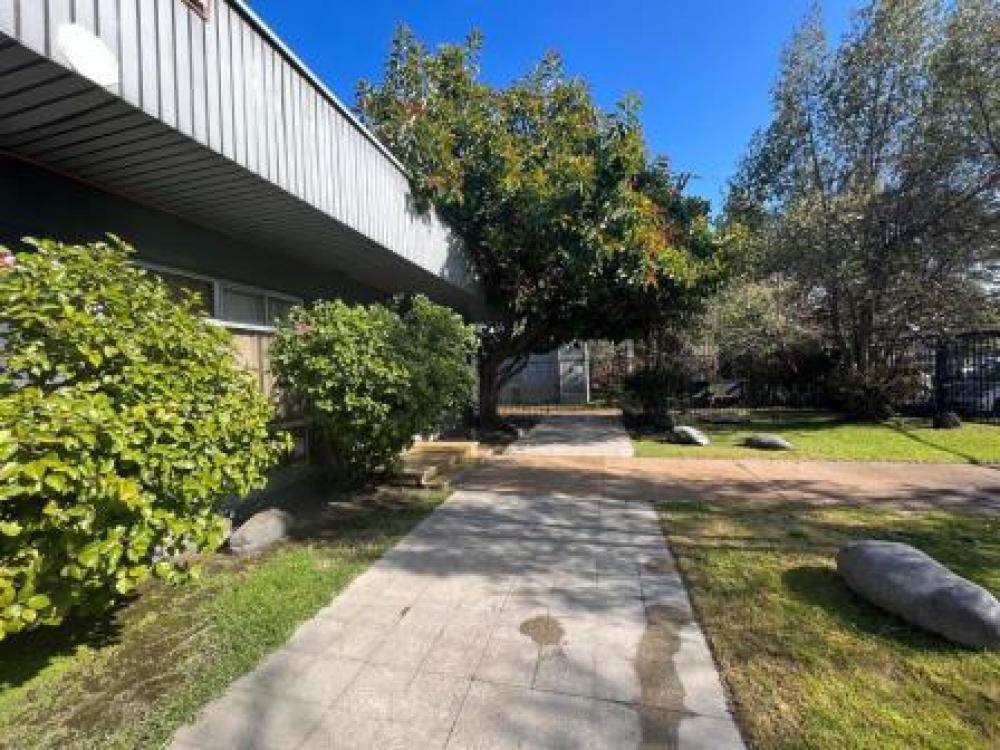 Propiedad Industrial - Comercial